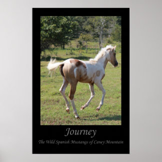 Affiche "Moon Dancer" - Voyage