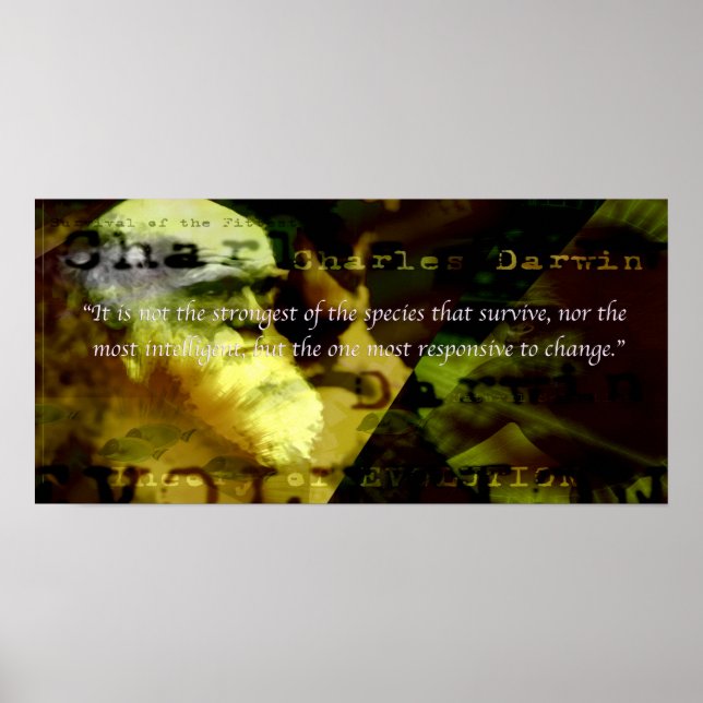 Affiche motivationnelle (Devant)