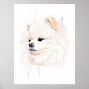 Affiche murale de chien Poméranie, Peinture à l'aq