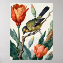 Affiche murale vintage d'oiseaux et de fleurs bota