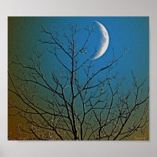 Affiche mystique de ll de lune