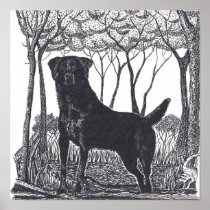 affiche noire de laboratoire