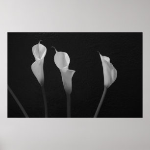 Affiche noire et blanche de fleurs