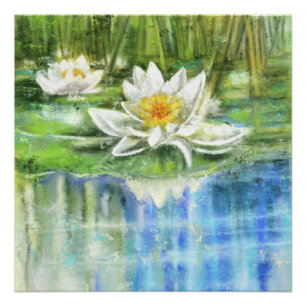 Affiche Nymphéa Blanc Nymphaea Alba