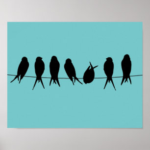 Affiche Oiseaux sur fil