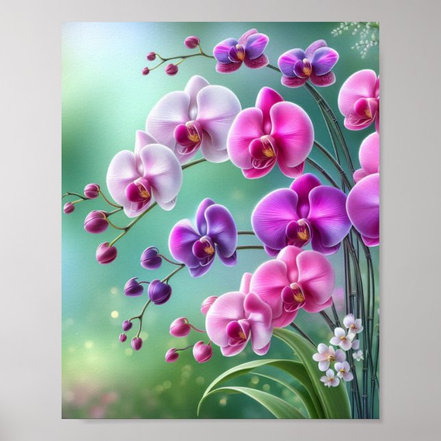 Affiche Orchid Bliss (Devant)