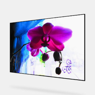 Affiche, Orchidée Magenta, options de fond de coul