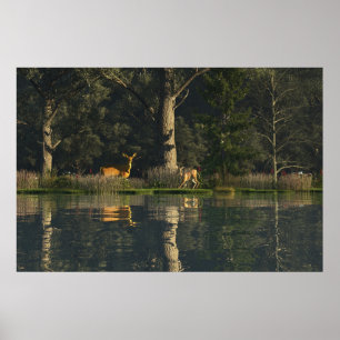 Affiche papier 30" x 24" avec l'image "Effrayée"