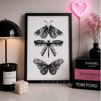 Affiche Papillon Dragonfly & Moth Noir & Blanc