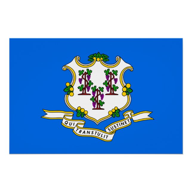 Affiche patriotique murale avec drapeau du Connect (Devant)