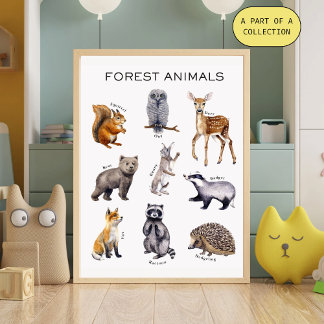 Affiche pédagogique sur les animaux de la forêt