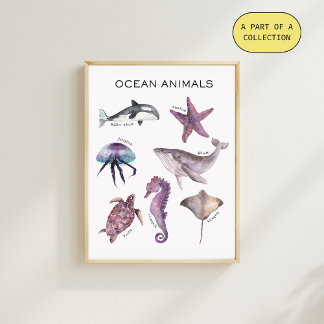 Affiche pédagogique sur les animaux océaniques