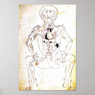 Affiche persane du 13ème siècle vintage d'anatomie