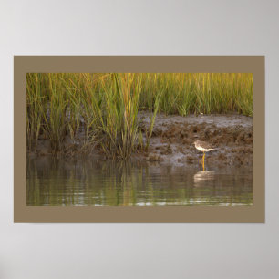 Affiche photo de paysage aquatique d'oiseaux