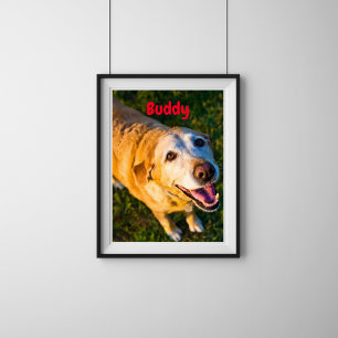Affiche photo personnalisée de chien âgé en mémoir