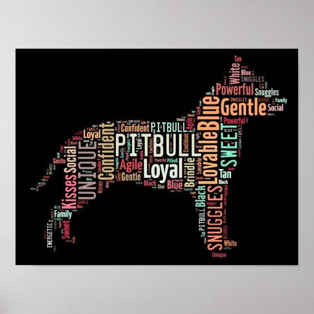 Affiche Pitbull (Devant)