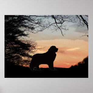 Affiche pour chien de Terre-Neuve