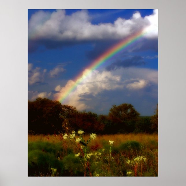 Affiche Promise Rafraîchissante (Devant)
