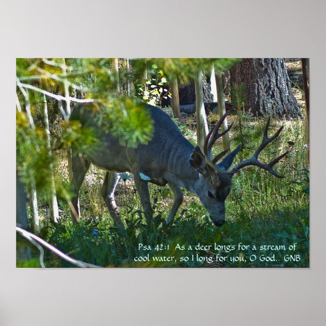 Affiche Psaume 42:1 (Devant)