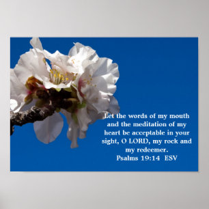 Affiche Psaumes 19:14