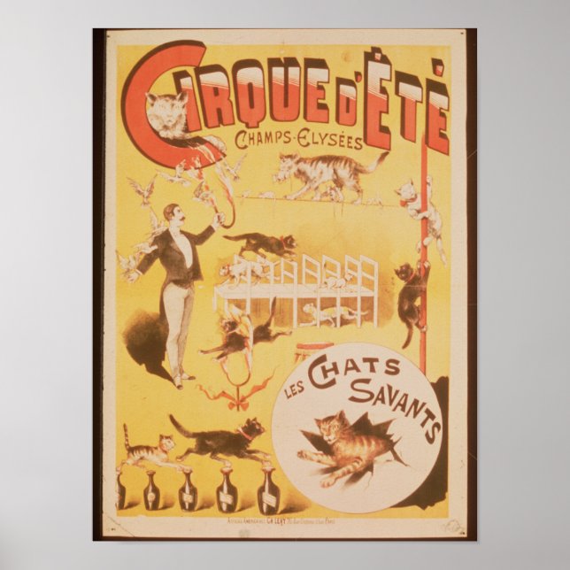 Affiche publicitaire du Cirque d'Ete dans (Devant)