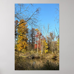 Affiche Reflections d'automne sur ruisseau