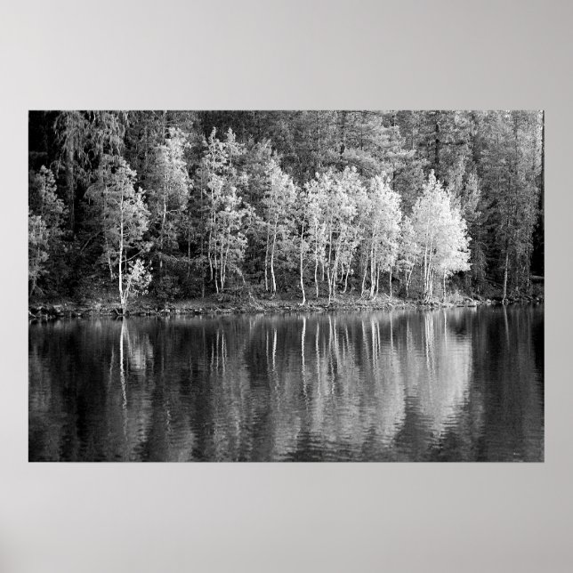 Affiche Réflexions (Devant)