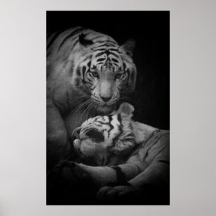 Affiche requise par aide