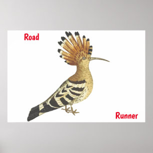 Affiche Road Runner