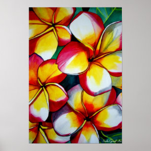 Affiche rose d'art de Frangipani par art de Sacha