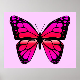 Affiche rose de papillon