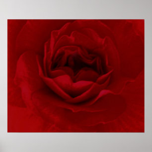 Affiche rouge sang de fleur