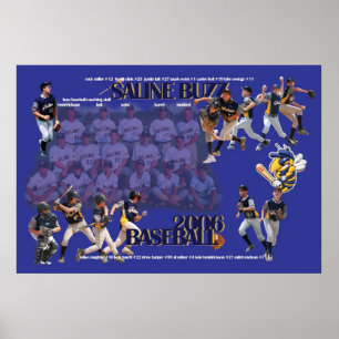 Affiche saline du bourdonnement grands 2006