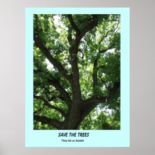 Affiche Sauver les Arbres