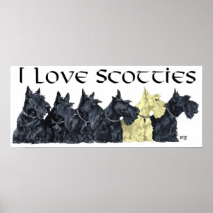 Affiche Scottish Terrier