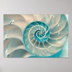 Affiche - Séquence de Fibonacci dans la vie marine