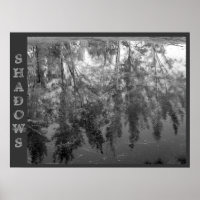 Affiche SHADOWS