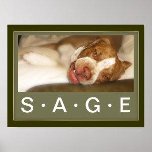 Affiche somnolente de fille