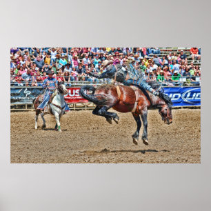 Affiche s'opposante de Bronco