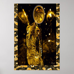 Affiche StarGazer