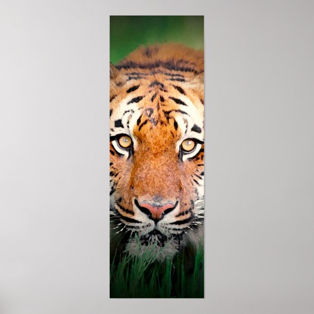 Affiche Sumatran Tiger Eyes (Devant)