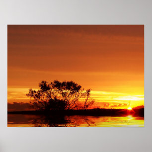 affiche sunRealism