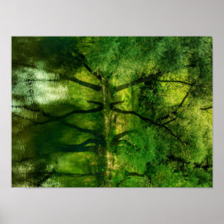 Affiche Super Green River Trees Reflection A3