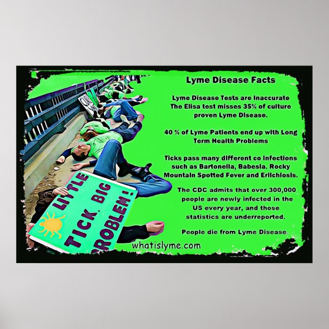 Affiche sur les faits de la maladie de Lyme (Devant)