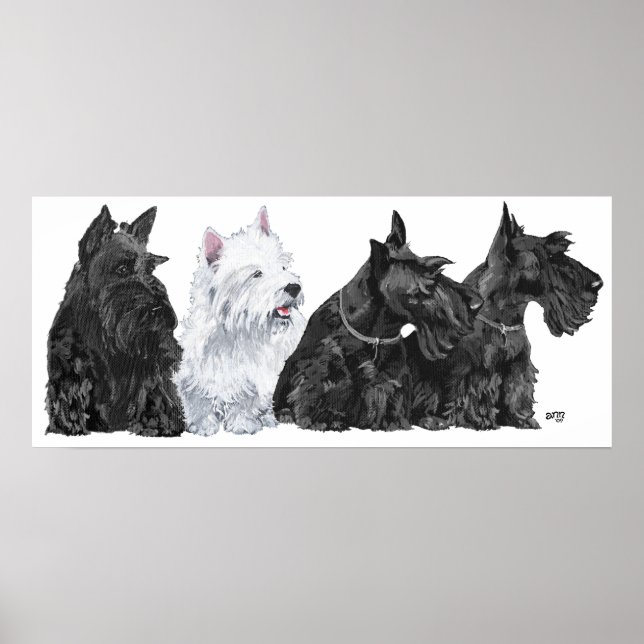 Affiche Terrier Écossais (Devant)