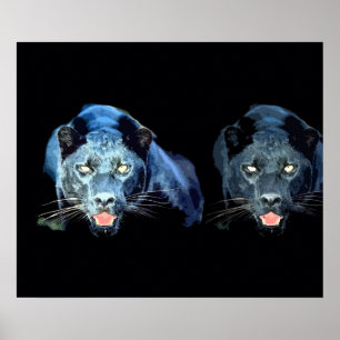 Affiche Tons Bleus Yeux de Chat Jaguar Noir Sauvag