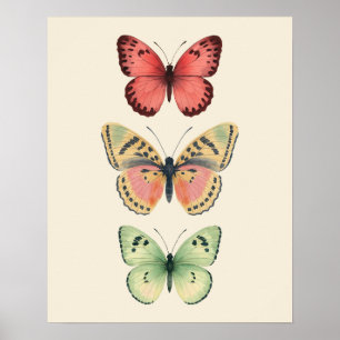 Affiche Trio Papillon Pastel Vintage – Aquarelle 