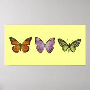 Affiche triple de papillon horizontale