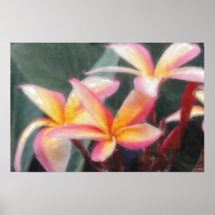 Affiche tropicale hawaïenne de Plumeria
