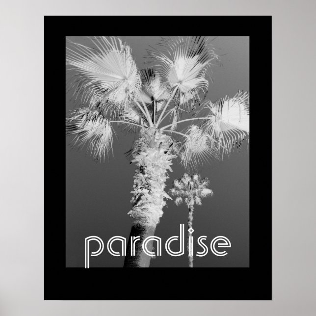 affiche tropique photo en noir et blanc (Devant)
